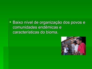 Baixo nível de organização dos povos e comunidades endêmicas e características do bioma.  