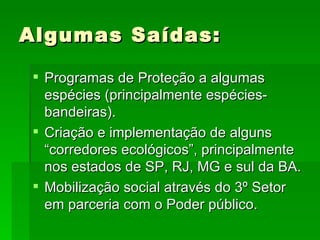 Algumas Saídas:  Programas de Proteção a algumas espécies (principalmente espécies-bandeiras). Criação e implementação de alguns “corredores ecológicos”, principalmente nos estados de SP, RJ, MG e sul da BA. Mobilização social através do 3º Setor em parceria com o Poder público. 