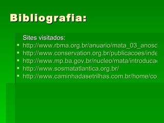 Bibliografia:  Sites visitados:  http://www.rbma.org.br/anuario/mata_03_anosdedesttuicao.asp http://www.conservation.org.br/publicacoes/index.php?t=3 http://www.mp.ba.gov.br/nucleo/mata/introducao.asp http://www.sosmatatlantica.org.br/ http://www.caminhadasetrilhas.com.br/home/conteudo.asp?codigo=141 