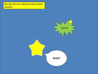 But the lost arm will grow into another starfish!Spring!BLUB!?