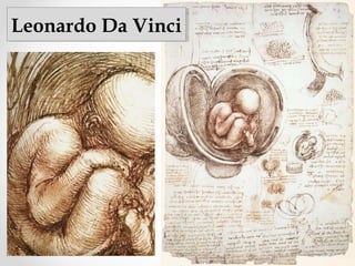 Leonardo Da VinciLeonardo Da Vinci
 