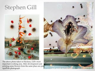 The above photo taken in Hackney, Gill's most
important working area. After development and
printing some flowers from the same place are put
upon the photograph
Stephen Gill
 
