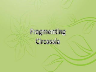 Fragmenting circassia
