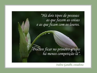 “ Há dois tipos de pessoas:  as que fazem as coisas  e as que ficam com os louros.  Procure ficar no primeiro grupo: há menos competição lá”. Indira Gandhi, estadista 