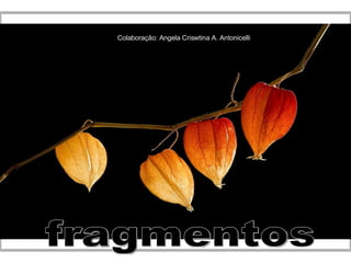 fragmentos Colaboração: Angela Criswtina A. Antonicelli 