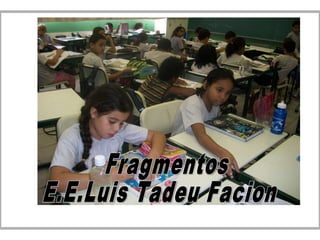 Fragmentos E.E.Luis Tadeu Facion 