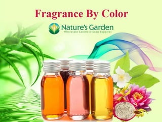 Dragons Blood Fragrance Oil - Nature's Garden Candles