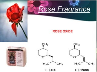 Rose Fragrance

   ROSE OXIDE
 