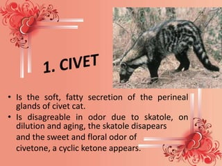 • Dried secretion of the preputial glands of
  the male musk deer. The odor is due to the
  cyclic ketone called “muskone”...