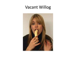 Vacant Willog