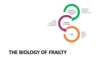 THE BIOLOGY OF FRAILTY
 