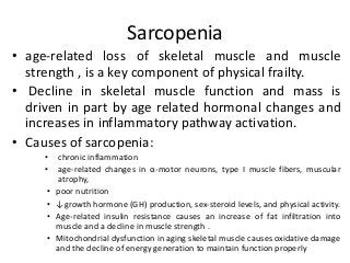Sarcopenia
• age-related loss of skeletal muscle and muscle
strength , is a key component of physical frailty.
• Decline in skeletal muscle function and mass is
driven in part by age related hormonal changes and
increases in inflammatory pathway activation.
• Causes of sarcopenia:
• chronic inflammation
• age-related changes in α-motor neurons, type I muscle fibers, muscular
atrophy,
• poor nutrition
• ↓growth hormone (GH) production, sex-steroid levels, and physical activity.
• Age-related insulin resistance causes an increase of fat infiltration into
muscle and a decline in muscle strength .
• Mitochondrial dysfunction in aging skeletal muscle causes oxidative damage
and the decline of energy generation to maintain function properly
 