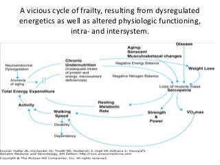 A vicious cycle of frailty, resulting from dysregulated
energetics as well as altered physiologic functioning,
intra- and intersystem.
 