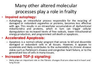 Many other altered molecular
processes play a role in frailty
• Impaired autophagy:
– Autophagy, an intracellular process responsible for the recycling of
damaged or redundant organelles or proteins, becomes less effective
with age. This results in an intracellular accumulation of dysfunctional
mitochondria and proteins, which in turn can trigger cellular
dysregulation via increased levels of free radicals, lower mitochondrial
energy production, and programmed cell death or apoptosis.
• Accelerated Apoptosis:
– Apoptosis is a normal cellular program that serves to kill and dissemble
damaged or redundant cells in all tissues. However, it appears to
accelerate and likely contributes to the vulnerability to chronic disease
states such as Parkinson’s disease and congestive heart failure, or to the
generalized loss of cells in many tissues.
• Increased TGF-β signaling:
– likely plays an important role in the fibrotic changes that are observed in heart and
lung tissue
 