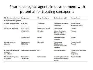 Pharmacological agents in development with
potential for treating sarcopenia
 