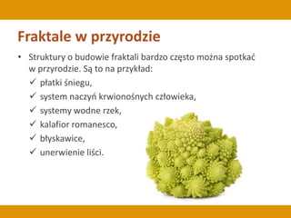 Fraktale w przyrodzie
• Struktury o budowie fraktali bardzo często można spotkać
w przyrodzie. Są to na przykład:
 płatki śniegu,
 system naczyń krwionośnych człowieka,
 systemy wodne rzek,
 kalafior romanesco,
 błyskawice,
 unerwienie liści.
 