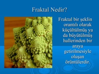 Fraktal Nedir?Fraktal Nedir?
Fraktal bir şeklinFraktal bir şeklin
orantılı olarakorantılı olarak
küçültülmüş yaküçültülmüş ya
da büyütülmüşda büyütülmüş
hallerinden birhallerinden bir
arayaaraya
getirilmesiylegetirilmesiyle
oluşanoluşan
örüntülerdirörüntülerdir..
 
