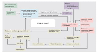 Frailty in Older Adults: Definitions, Assessment, and Management | PPTX