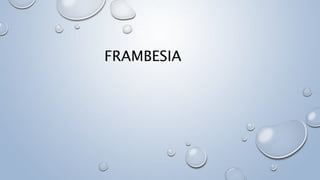 FRAMBESIA
 