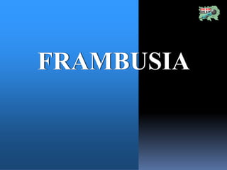 FRAMBUSIA
 