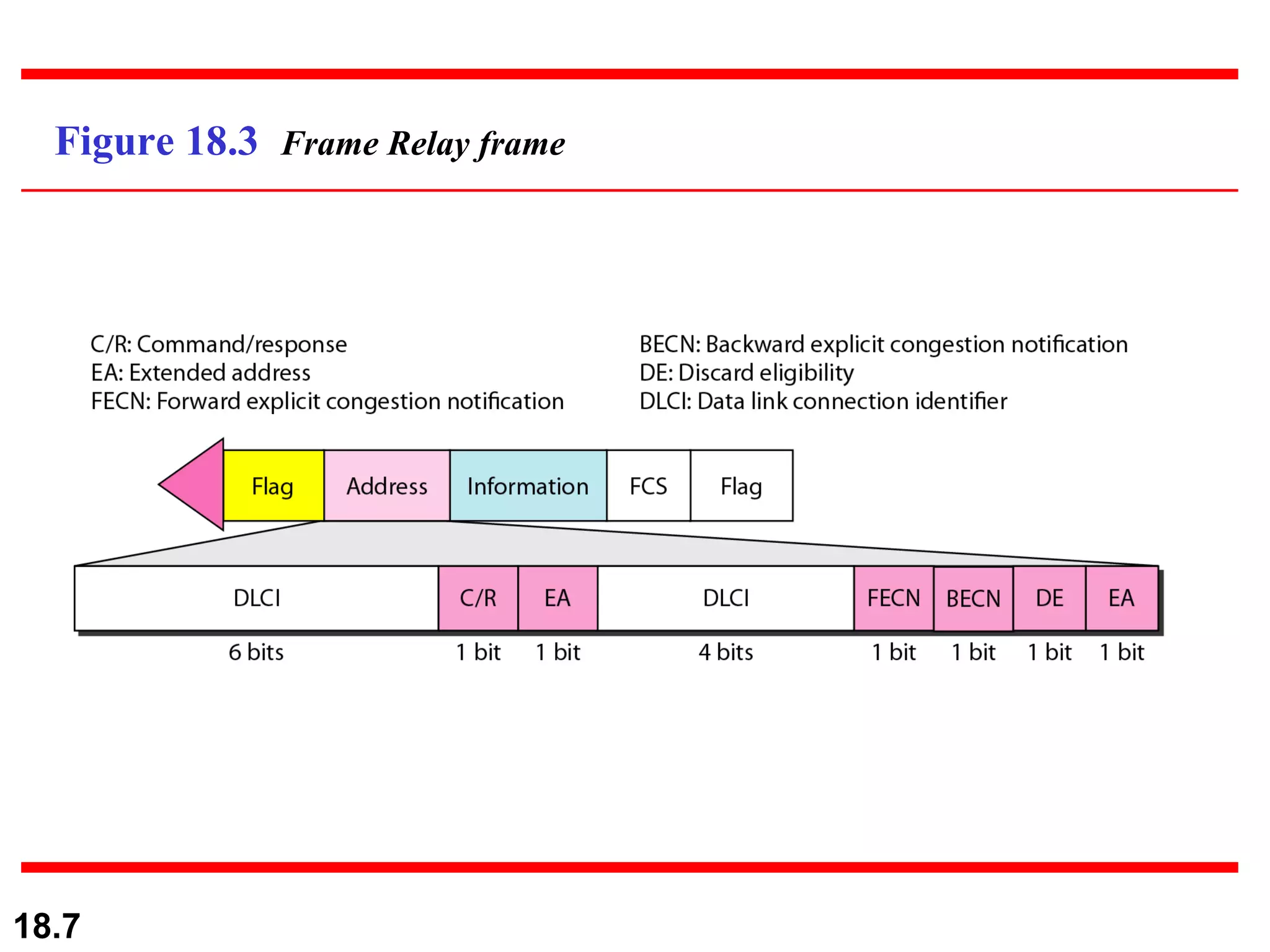 Figure 18.3  Frame Relay frame 