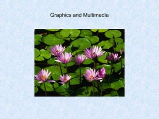 Graphics and Multimedia
 