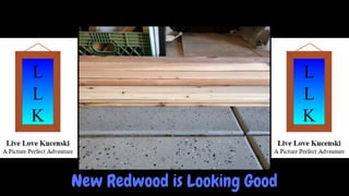 New Redwood is Looking Good
 