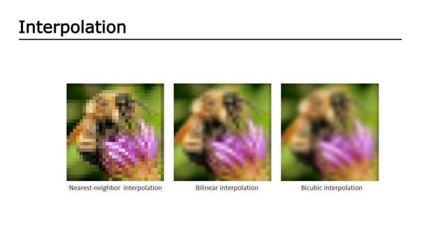 Latest Frame interpolation Algorithms | PPT
