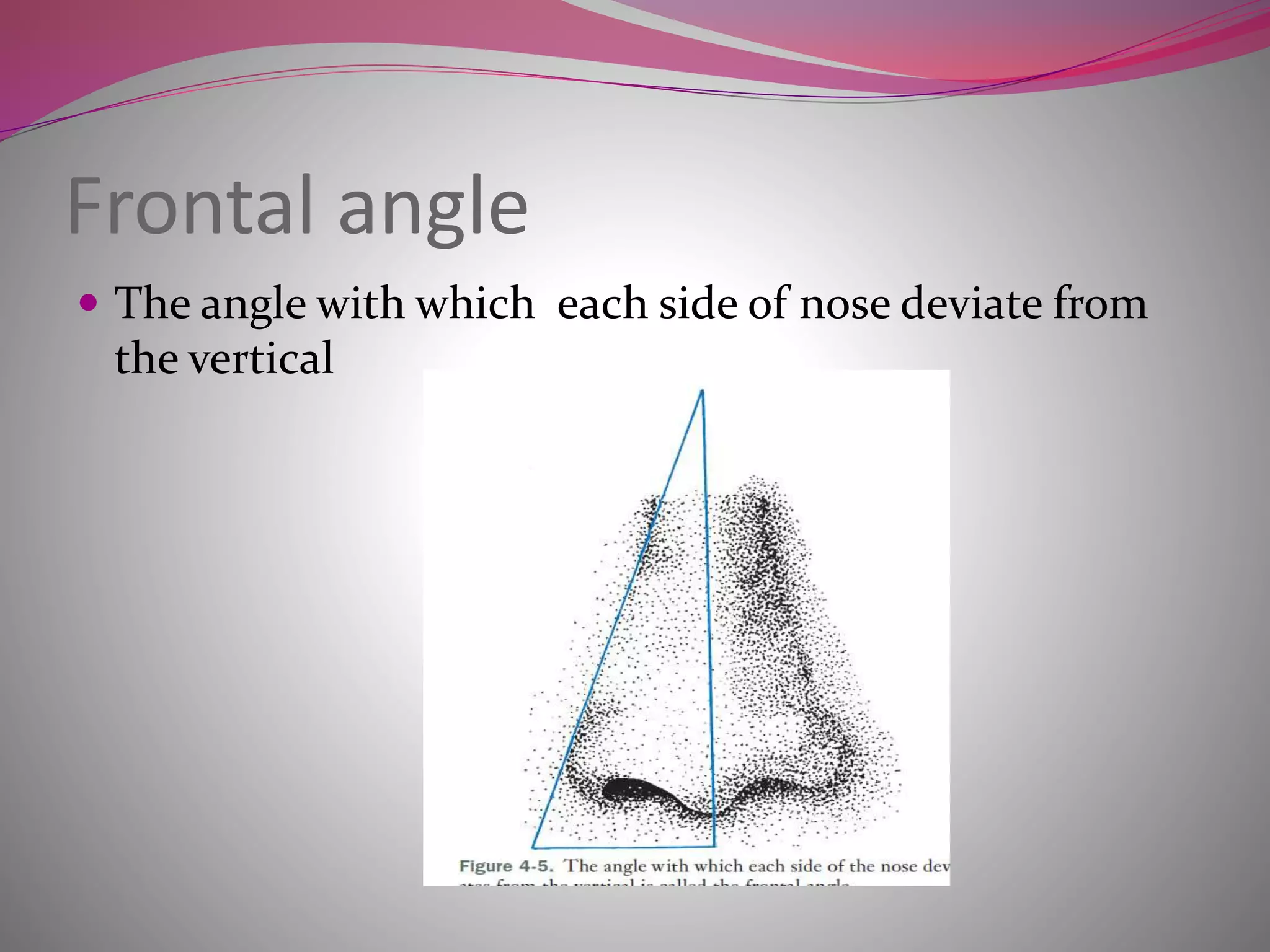 Frontal angle
 The angle with which each side of nose deviate from
the vertical
 