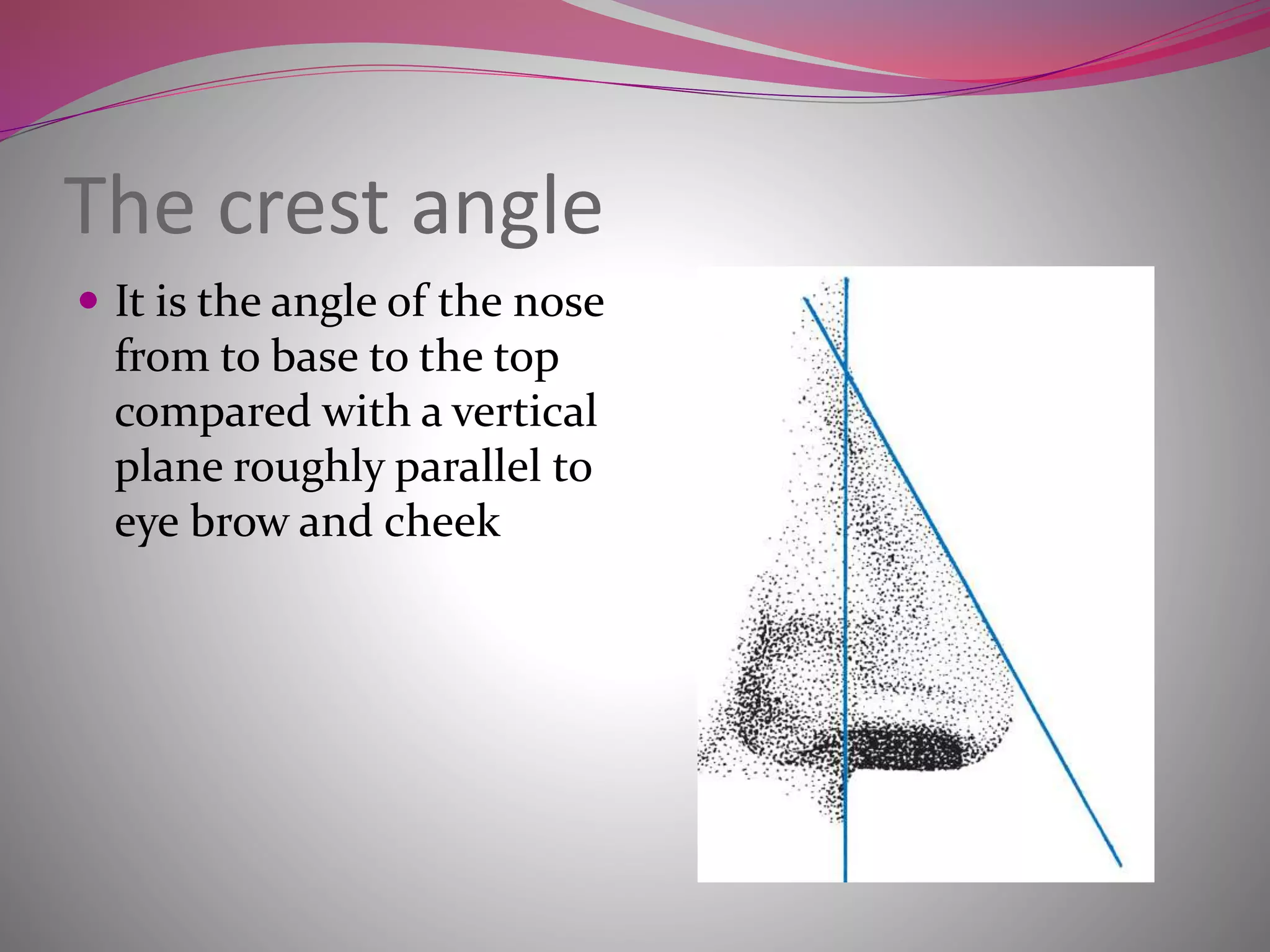 The crest angle
 It is the angle of the nose
from to base to the top
compared with a vertical
plane roughly parallel to
eye brow and cheek
 