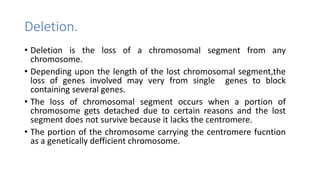 Deletion.
• Deletion is the loss of a chromosomal segment from any
chromosome.
• Depending upon the length of the lost chromosomal segment,the
loss of genes involved may very from single genes to block
containing several genes.
• The loss of chromosomal segment occurs when a portion of
chromosome gets detached due to certain reasons and the lost
segment does not survive because it lacks the centromere.
• The portion of the chromosome carrying the centromere fucntion
as a genetically defficient chromosome.
 