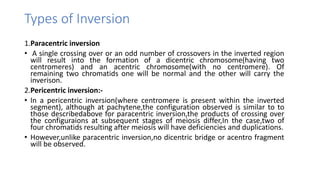 Types of Inversion
1.Paracentric inversion
• A single crossing over or an odd number of crossovers in the inverted region
will result into the formation of a dicentric chromosome(having two
centromeres) and an acentric chromosome(with no centromere). Of
remaining two chromatids one will be normal and the other will carry the
inverison.
2.Pericentric inversion:-
• In a pericentric inversion(where centromere is present within the inverted
segment), although at pachytene,the configuration observed is similar to to
those describedabove for paracentric inversion,the products of crossing over
the configuraions at subsequent stages of meiosis differ,In the case,two of
four chromatids resulting after meiosis will have deficiencies and duplications.
• However,unlike paracentric inversion,no dicentric bridge or acentro fragment
will be observed.
 