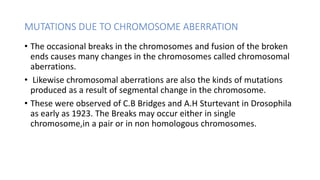 • The structural changes in the chromosomes are of various types these
changes may involve either the loss of broken fragm...
