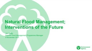 Natural Flood Management;
Interventions of the Future
Jon Hollis
Natural Flood Management Programme Manager
9 November 2017
 