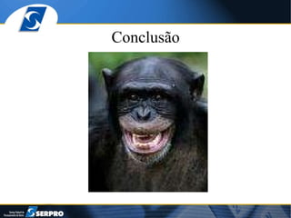 Conclusão 