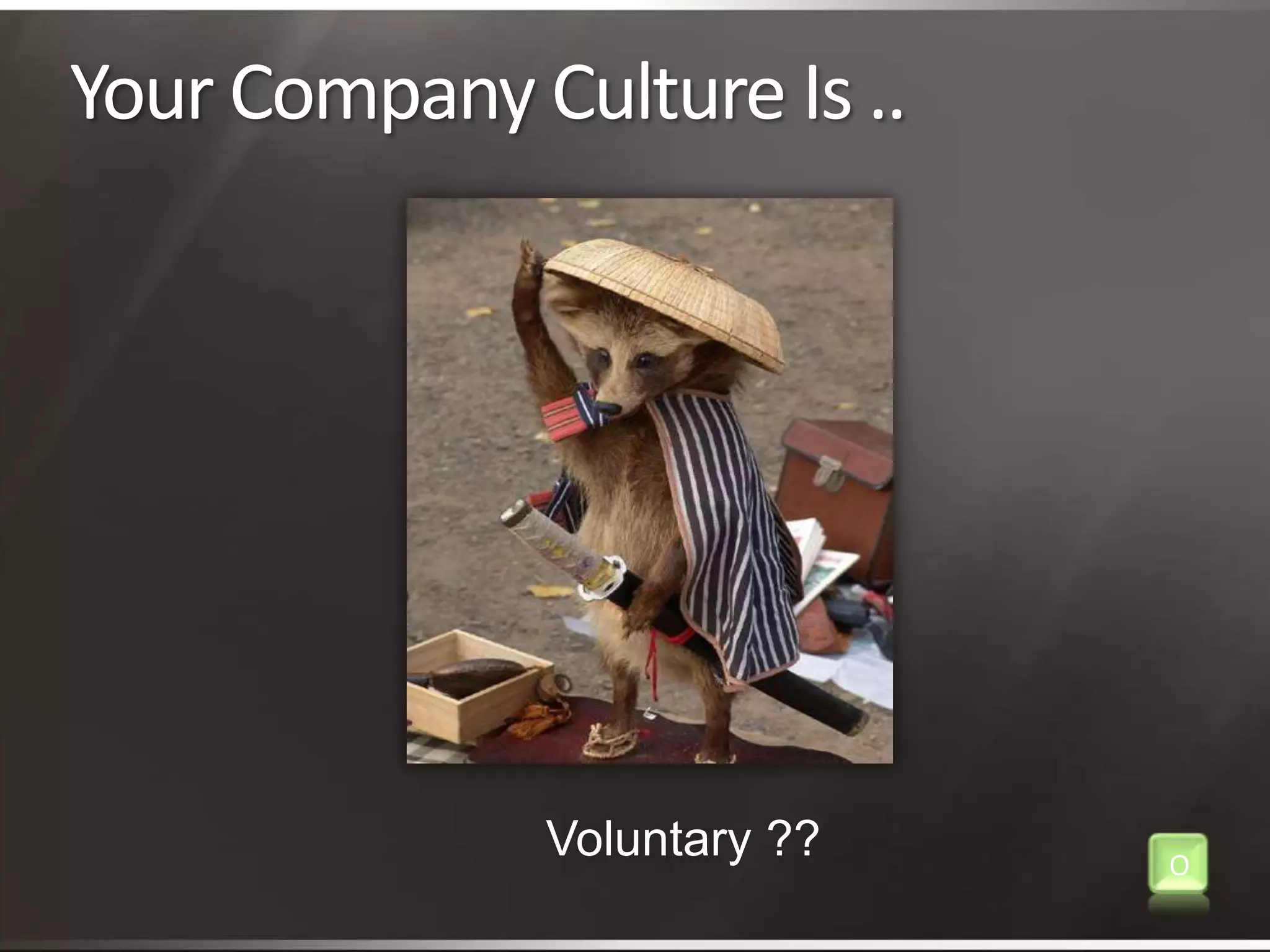 Your Company Culture Is ..Voluntary ??O