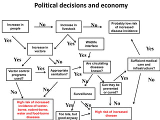 Framework for assessing the economic costs and burdens of zoonotic disease