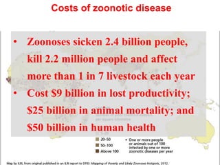 Framework for assessing the economic costs and burdens of zoonotic disease