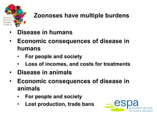 Framework for assessing the economic costs and burdens of zoonotic disease