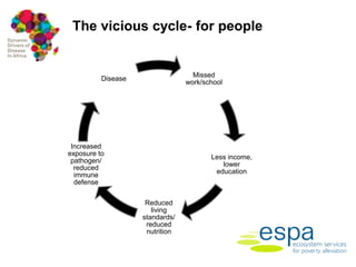 Framework for assessing the economic costs and burdens of zoonotic disease