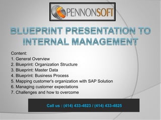 Content: 
1. General Overview 
2. Blueprint: Organization Structure 
3. Blueprint: Master Data 
4. Blueprint: Business Process 
5. Mapping customer's organization with SAP Solution 
6. Managing customer expectations 
7. Challenges and how to overcome 
Call us : (414) 433-4823 / (414) 433-4825 
 