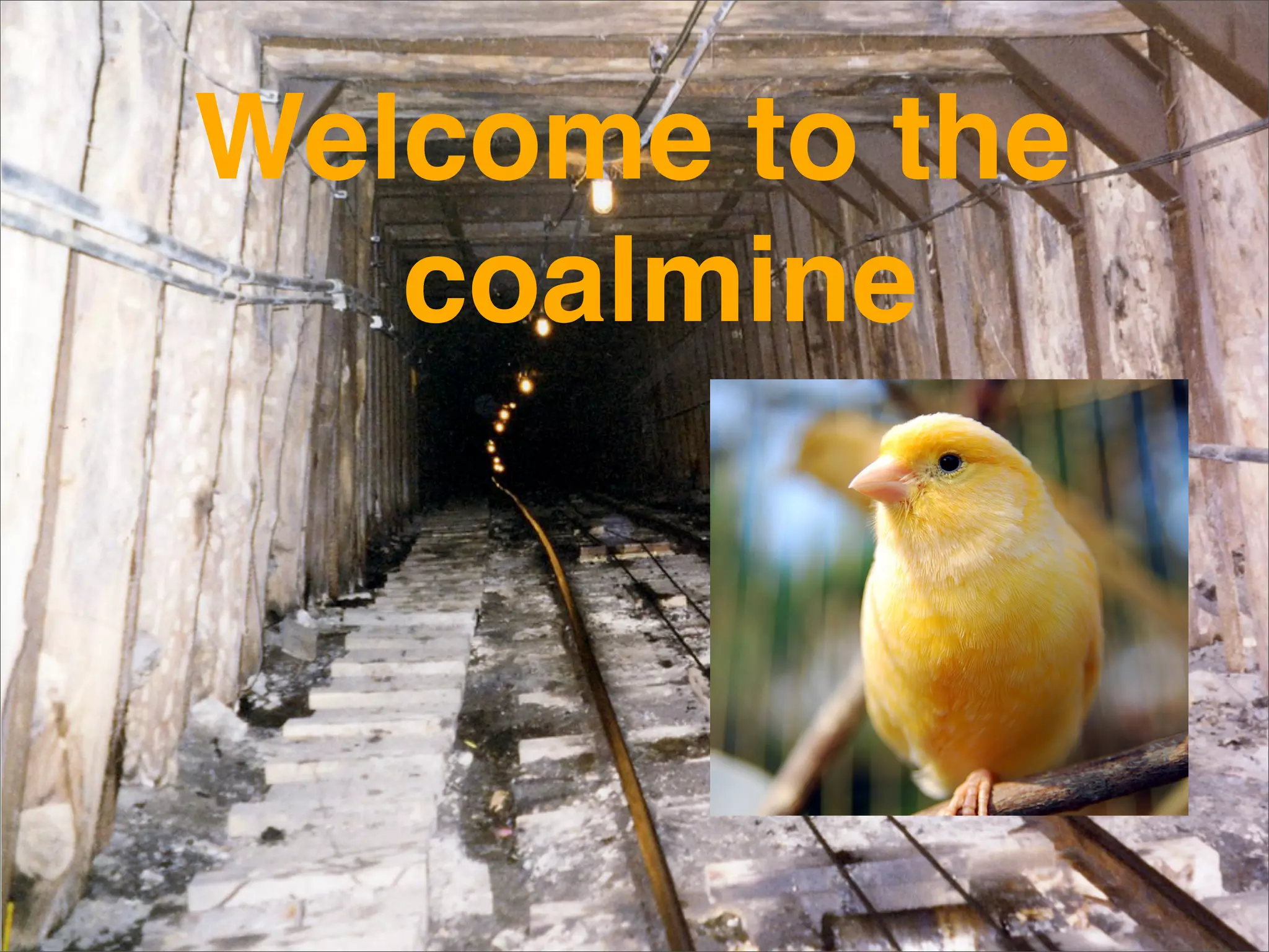 Frameworks Are The Future of Design