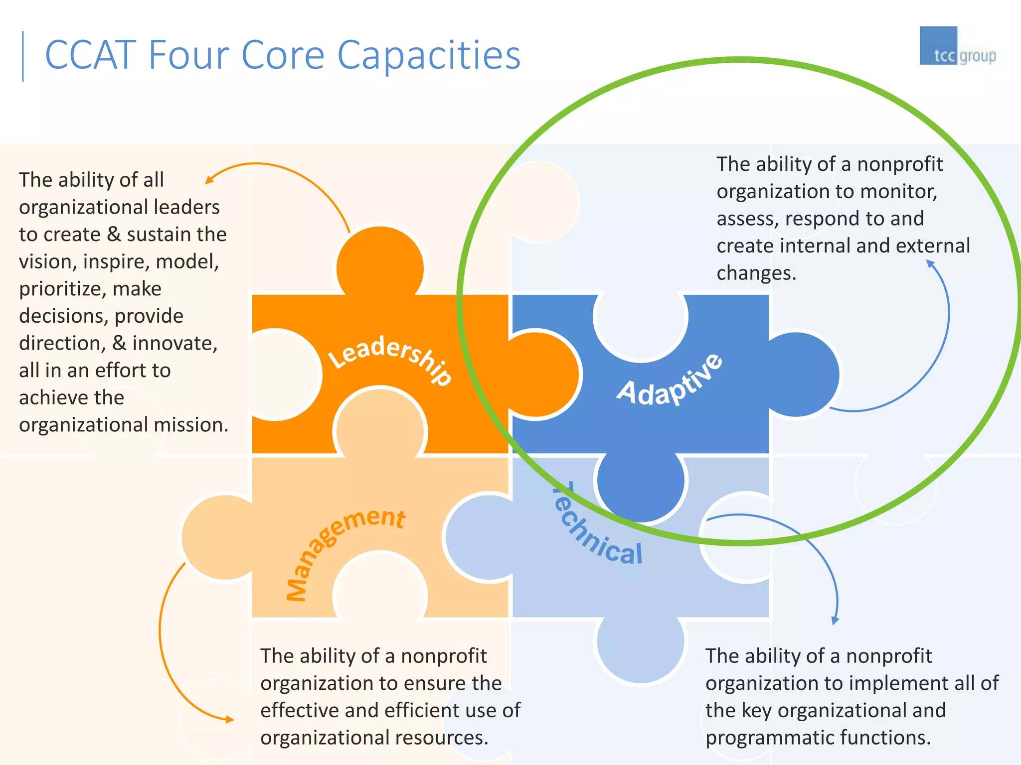 18
CCAT Four Core Capacities
The ability of all
organizational leaders
to create & sustain the
vision, inspire, model,
prioritize, make
decisions, provide
direction, & innovate,
all in an effort to
achieve the
organizational mission.
The ability of a nonprofit
organization to ensure the
effective and efficient use of
organizational resources.
The ability of a nonprofit
organization to monitor,
assess, respond to and
create internal and external
changes.
The ability of a nonprofit
organization to implement all of
the key organizational and
programmatic functions.
 