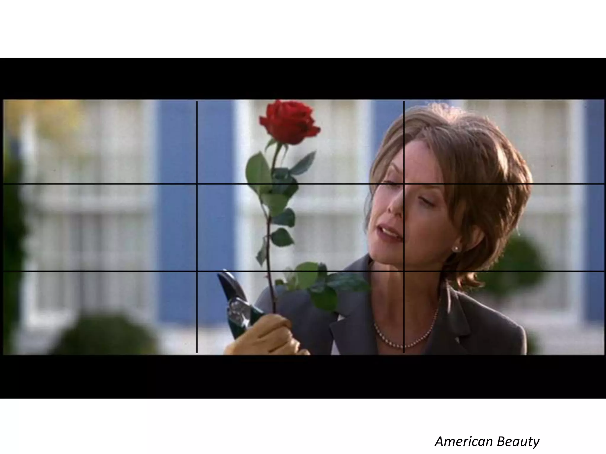 Subject placement using the rule of thirds
American Beauty

 
