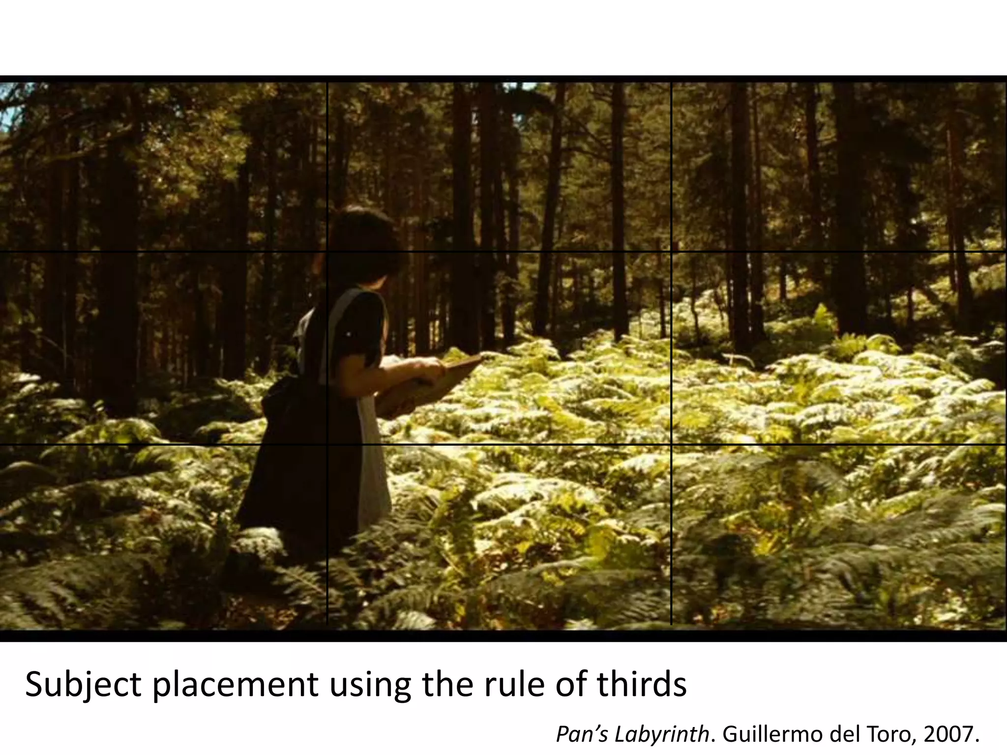 Subject placement using the rule of thirds
Pan’s Labyrinth. Guillermo del Toro, 2007.

 