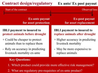 Framing the discussion: Developing IBLI Ethiopia research agenda