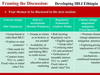Framing the discussion: Developing IBLI Ethiopia research agenda
