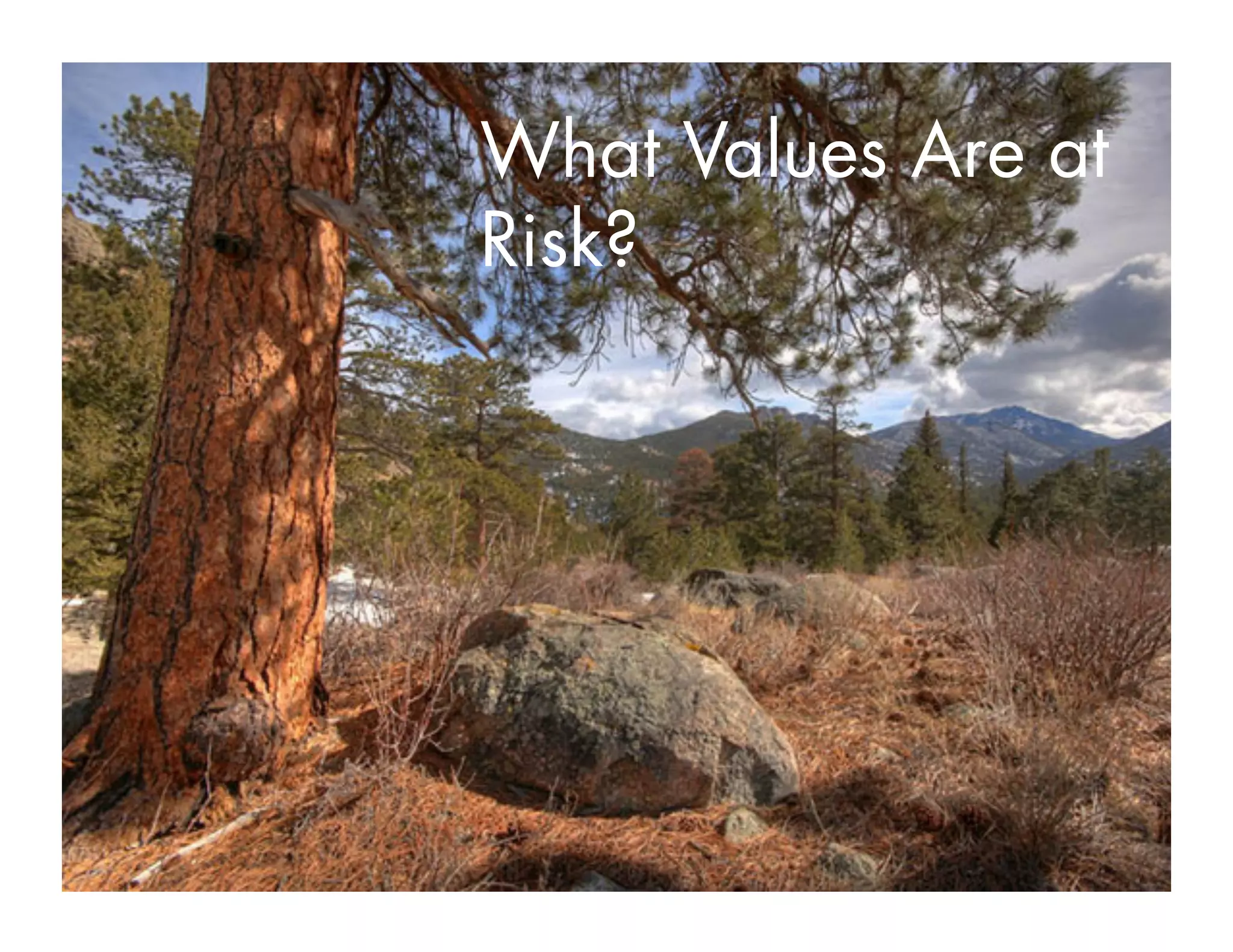 What values
are at risk?
What Values Are at
Risk?
 