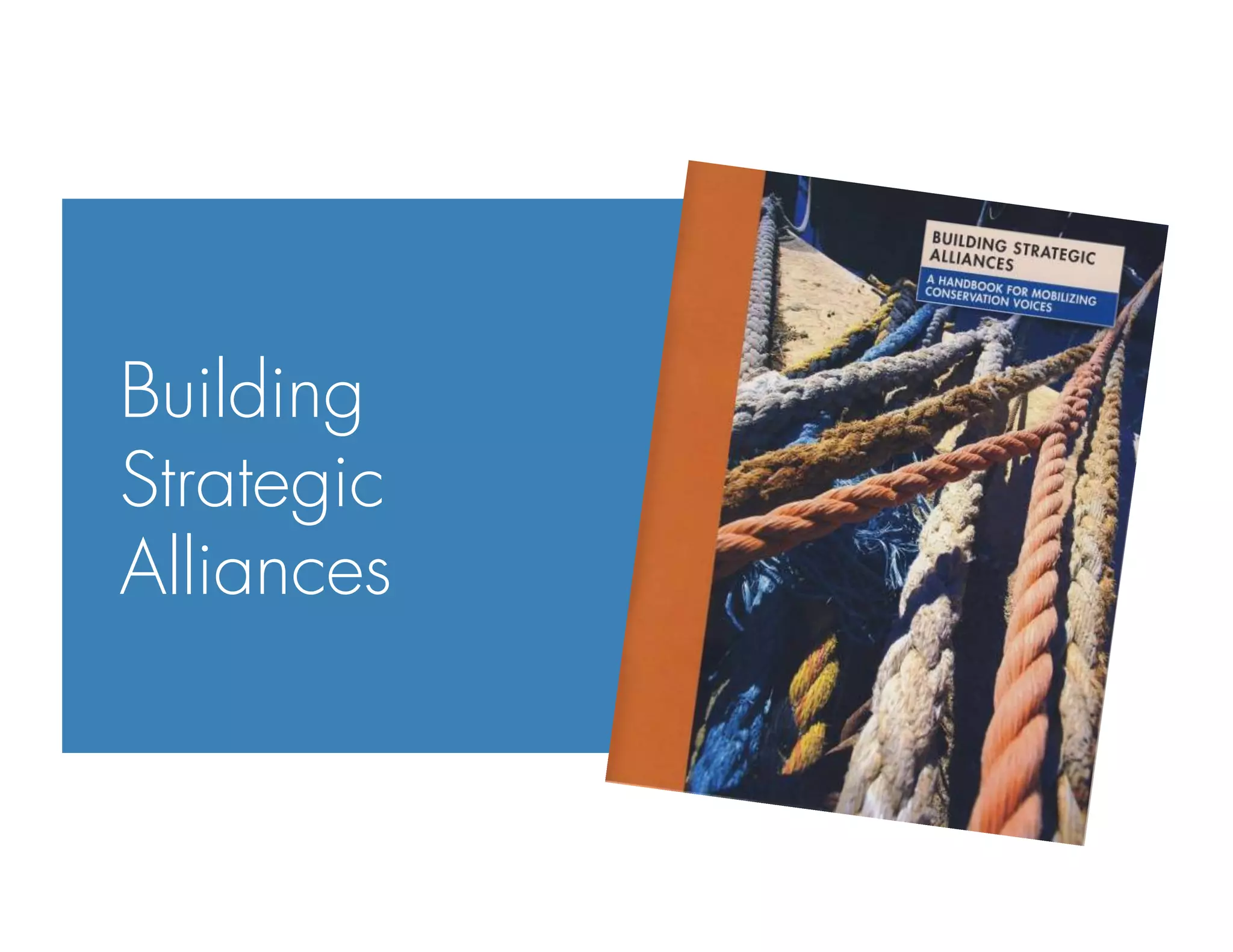 Building
Strategic
Alliances
 