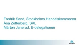 Fredrik Sand, Stockholms Handelskammaren
Åsa Zetterberg, SKL
Mårten Janerud, E-delegationen
 